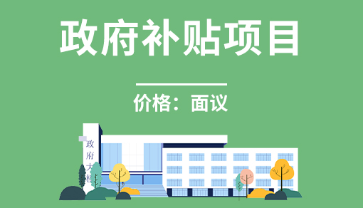 正穗財稅幫您進行2025年政府補貼項目