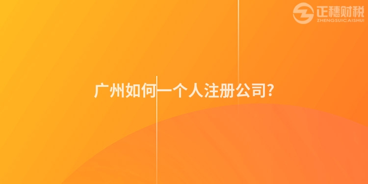 廣州如何一個人注冊公司?