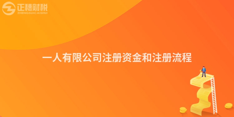 一人有限公司注冊資金和注冊流程