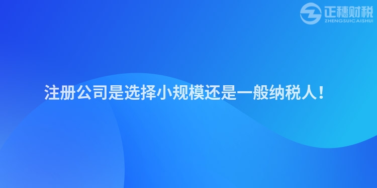 注冊公司是選擇小規模還是一般納稅人！