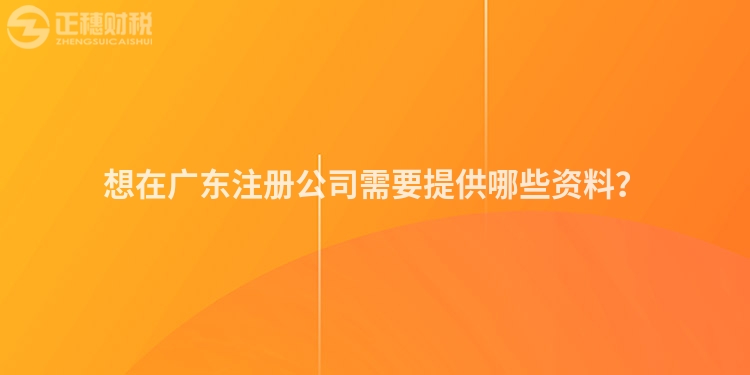 想在廣東注冊公司需要提供哪些資料？