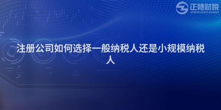 注冊公司如何選擇一般納稅人還是小規模納稅人