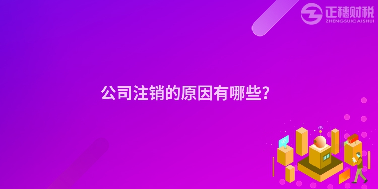 公司注銷的原因有哪些？