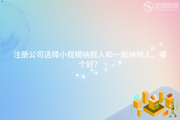 注冊公司選擇小規(guī)模納稅人和一般納稅人，哪個好？