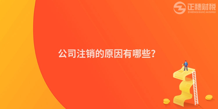 公司注銷的原因有哪些？