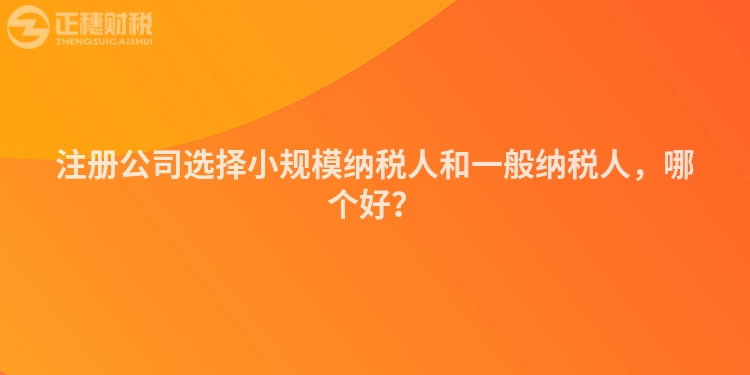 注冊公司選擇小規模納稅人和一般納稅人，哪個好？