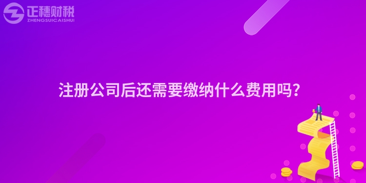 注冊公司后還需要繳納什么費用嗎？