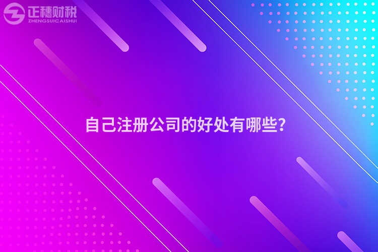 自己注冊公司的好處有哪些？