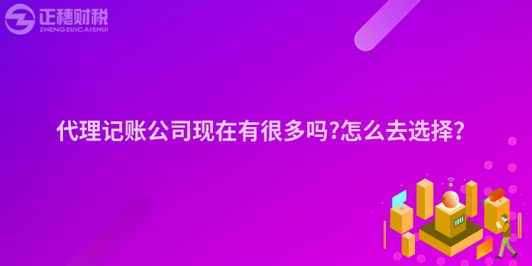 代理記賬公司現在有很多嗎?怎么去選擇？