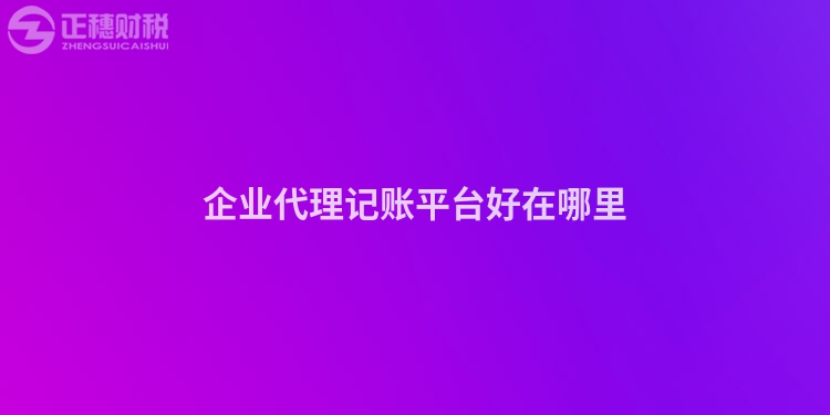 企業代理記賬平臺好在哪里