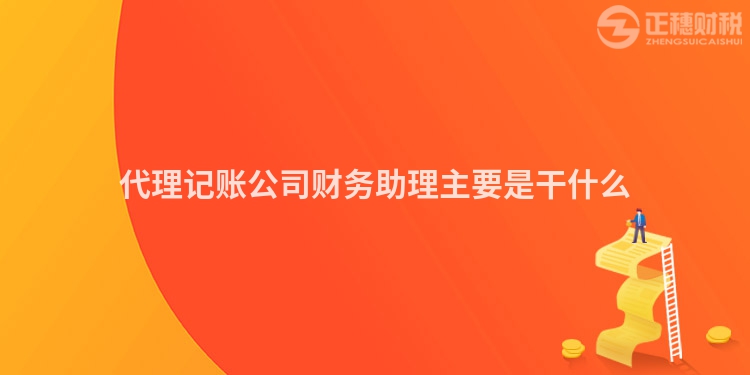 代理記賬公司財務助理主要是干什么