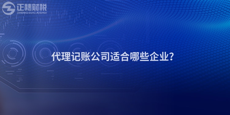 代理記賬公司適合哪些企業(yè)？