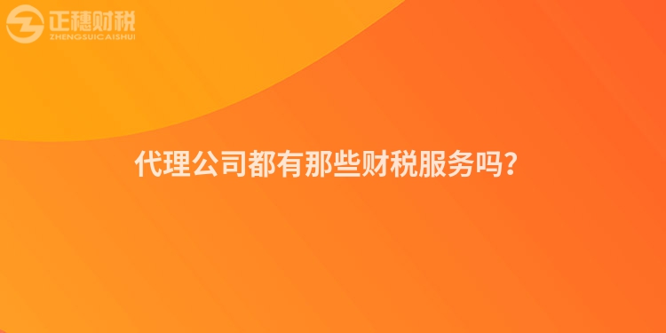 代理公司都有那些財(cái)稅服務(wù)嗎？