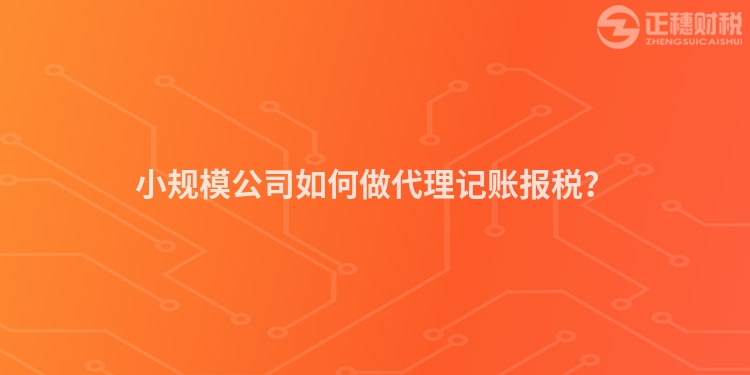 小規模公司如何做代理記賬報稅？