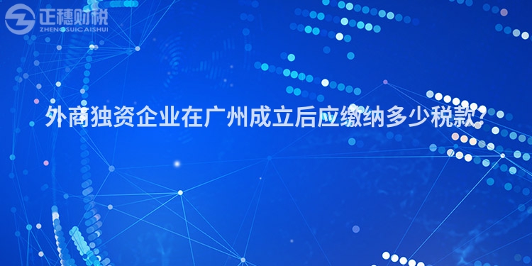 外商獨資企業在廣州成立后應繳納多少稅款?