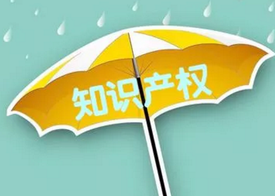 2021年廣州知識產(chǎn)權(quán)服務(wù)