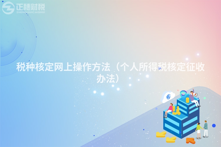稅種核定網(wǎng)上操作方法(個(gè)人所得稅核定征收辦法)