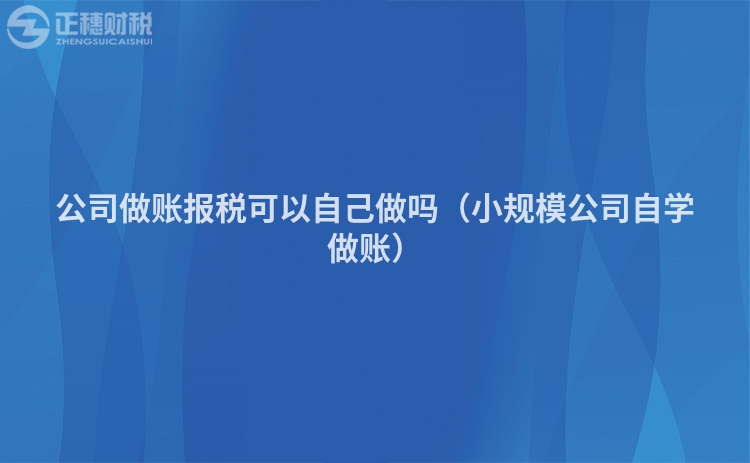 公司做賬報(bào)稅可以自己做嗎(小規(guī)模公司自學(xué)做賬)