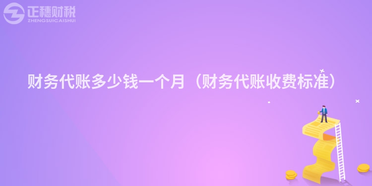 財務代賬多少錢一個月（財務代賬收費標準）