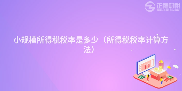 小規模所得稅稅率是多少（所得稅稅率計算方法）