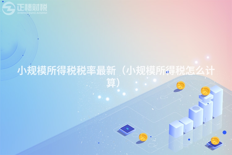 小規(guī)模所得稅稅率最新(小規(guī)模所得稅怎么計(jì)算)
