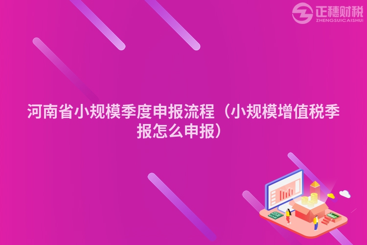 河南省小規模季度申報流程（小規模增值稅季報怎么申報）
