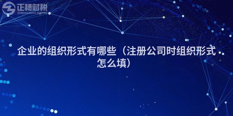 企業的組織形式有哪些（注冊公司時組織形式怎么填）