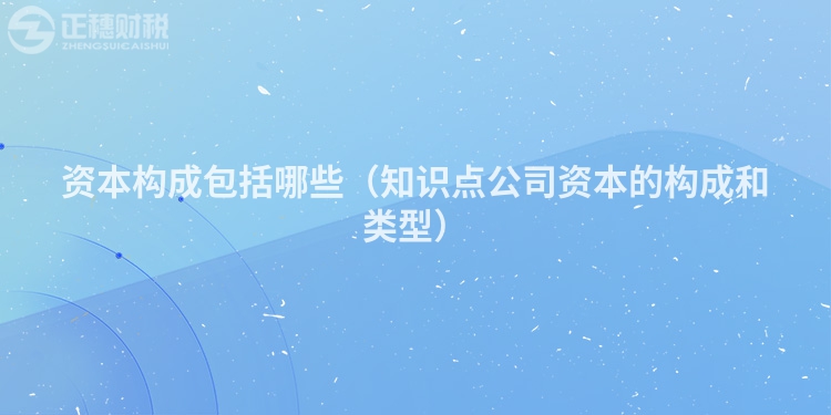 資本構(gòu)成包括哪些(知識點公司資本的構(gòu)成和類型)