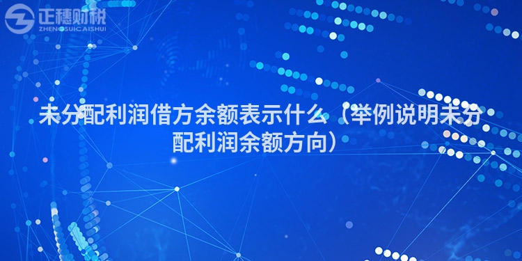 未分配利潤借方余額表示什么（舉例說明未分配利潤余額方向）