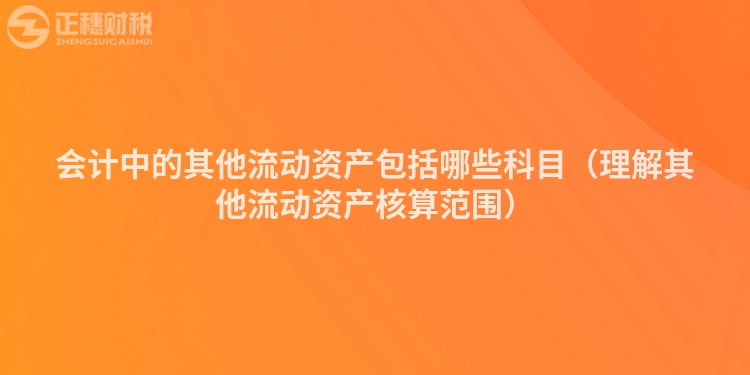 會計(jì)中的其他流動資產(chǎn)包括哪些科目(理解其他流動資產(chǎn)核算范圍)