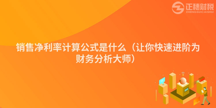 銷(xiāo)售凈利率計(jì)算公式是什么(讓你快速進(jìn)階為財(cái)務(wù)分析大師)