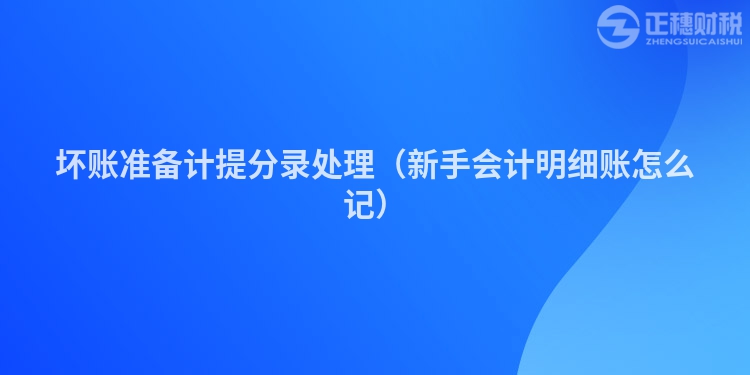 壞賬準(zhǔn)備計(jì)提分錄處理(新手會計(jì)明細(xì)賬怎么記)
