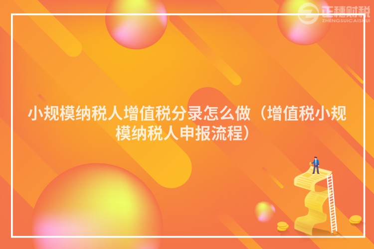 小規(guī)模納稅人增值稅分錄怎么做（增值稅小規(guī)模納稅人申報(bào)流程）