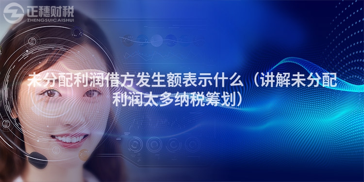 未分配利潤借方發生額表示什么（講解未分配利潤太多納稅籌劃）