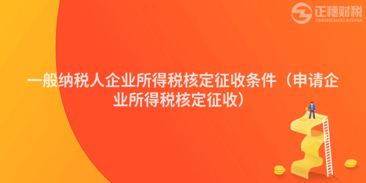 一般納稅人企業(yè)所得稅核定征收條件(申請(qǐng)企業(yè)所得稅核定征收)