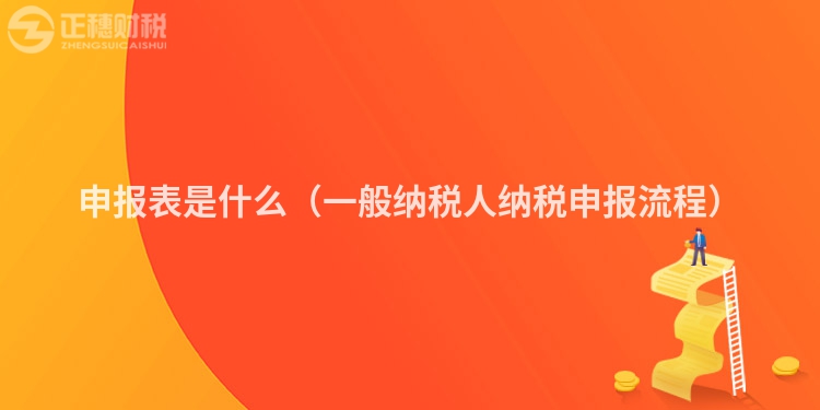 申報(bào)表是什么(一般納稅人納稅申報(bào)流程)