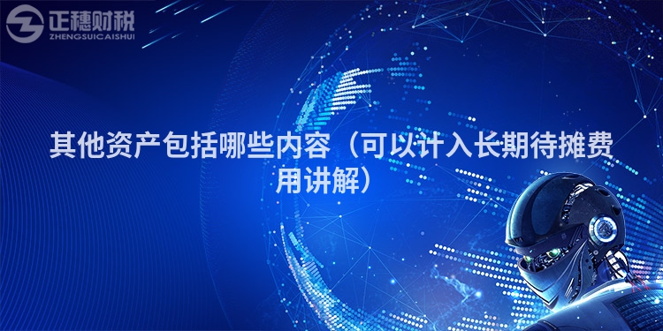 其他資產(chǎn)包括哪些內(nèi)容（可以計入長期待攤費用講解）
