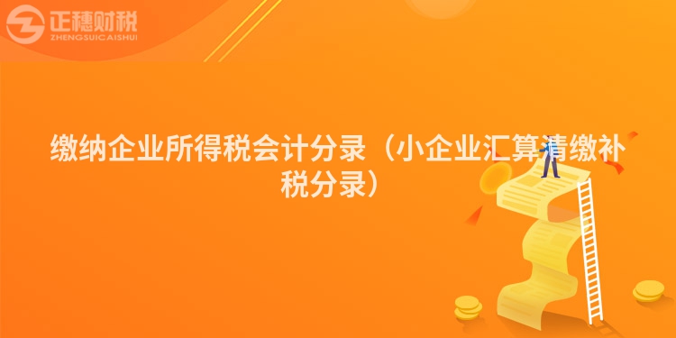 繳納企業所得稅會計分錄（小企業匯算清繳補稅分錄）