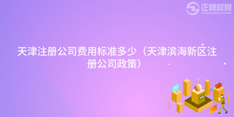 天津注冊(cè)公司費(fèi)用標(biāo)準(zhǔn)多少(天津?yàn)I海新區(qū)注冊(cè)公司政策)