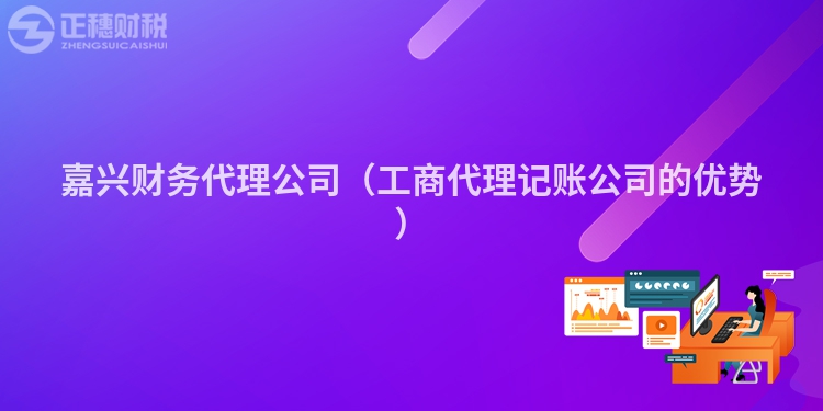 嘉興財(cái)務(wù)代理公司(工商代理記賬公司的優(yōu)勢(shì))